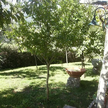Quinta Da Vorosa Gospodarstwo wiejskie *