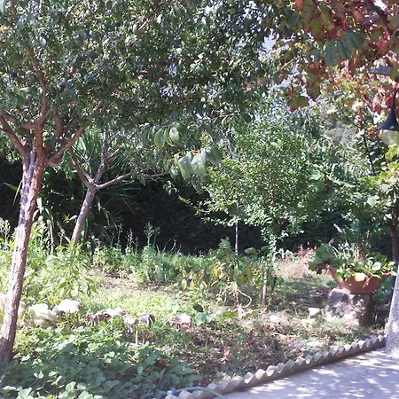 Quinta Da Vorosa *